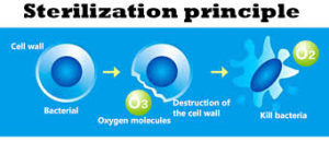 Disinfection & Ozonation