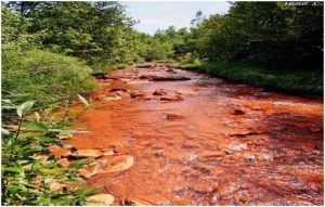 Acid Mine Drainage