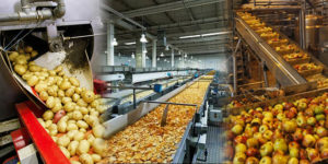 Food Processing